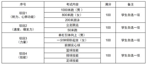 山东中考体育多少分2024