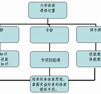 设定科学体育目标策略与实践