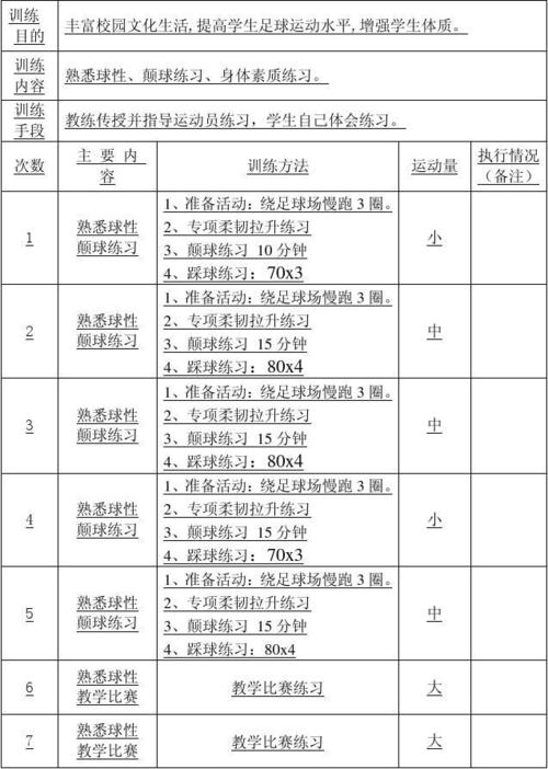 足球训练计划及总结